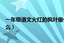 一年級語文火紅的楓葉像什么（一年級語文火紅的楓葉像什么）