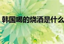 韓國喝的燒酒是什么（韓國燒酒有什么特點）