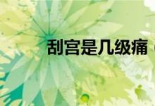 刮宮是幾級(jí)痛（刮宮是幾級(jí)疼痛）