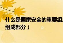 什么是國家安全的重要組成的部分（什么是國家安全的重要組成部分）
