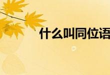 什么叫同位語（什么叫同心度）