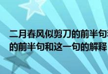 二月春風(fēng)似剪刀的前半句和這一句的意思（二月春風(fēng)似剪刀的前半句和這一句的解釋）