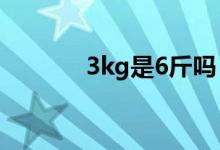 3kg是6斤嗎（3Kg是多少斤）