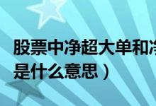 股票中凈超大單和凈大單區(qū)別（股票大單凈量是什么意思）