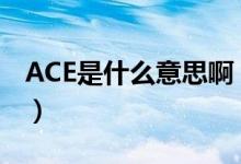 ACE是什么意思?。╝ce是什么意思解釋一下）
