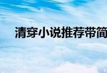 清穿小說推薦帶簡介（清穿小說有哪些）