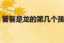 饕餮是龍的第幾個孩子（饕餮是龍的第幾子）