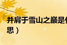 并肩于雪山之巔是什么梗（bjyxszd是什么意思）