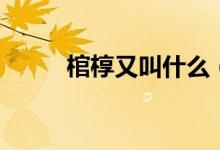 棺槨又叫什么（棺槨分別指什么）