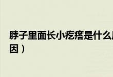 脖子里面長(zhǎng)小疙瘩是什么原因（脖子里面長(zhǎng)小疙瘩是什么原因）