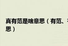 真有范是啥意思（有范、有范兒、很有范、好有范是什么意思）