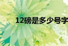 12磅是多少號字體（12磅是幾千克）