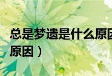 總是夢遺是什么原因造成的（總是夢遺是什么原因）