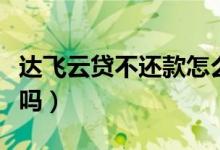 達(dá)飛云貸不還款怎么辦（達(dá)飛云貸不還款違法嗎）