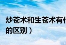 炒蒼術(shù)和生蒼術(shù)有什么不同（炒蒼術(shù)和生蒼術(shù)的區(qū)別）