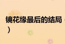 鏡花緣最后的結(jié)局（鏡花緣小說的結(jié)局是什么）