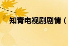 知青電視劇劇情（電視劇知青內(nèi)容簡介）