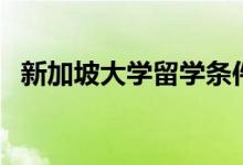 新加坡大學留學條件（留學的條件是什么）