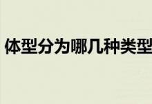 體型分為哪幾種類型（體型分為哪幾種類型）