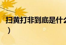 掃黃打非到底是什么意思（打黃掃非什么意思）