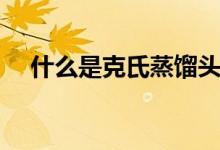 什么是克氏蒸餾頭（什么是克氏綜合征）