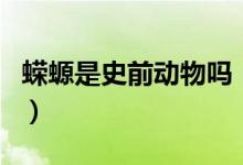 蠑螈是史前動(dòng)物嗎（史前霸王蠑螈是什么動(dòng)物）