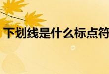 下劃線是什么標(biāo)點(diǎn)符號（下劃線是什么符號）