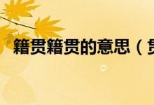 籍貫籍貫的意思（貫籍是籍貫是什么意思）