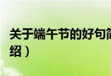 關(guān)于端午節(jié)的好句簡(jiǎn)短（關(guān)于端午節(jié)的好句介紹）