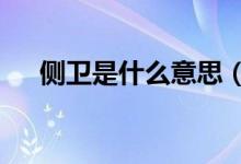 側(cè)衛(wèi)是什么意思（c位是什么意思中文）