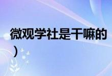 微觀學社是干嘛的（西安微觀學社是干什么的）