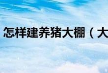 怎樣建養(yǎng)豬大棚（大棚式豬舍建造方法簡介）