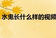 水鬼長什么樣的視頻（水鬼長什么樣和視頻）