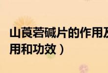 山莨菪堿片的作用及副作用（山莨菪堿片的作用和功效）