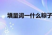 填量詞一什么粽子（填量詞一什么雄雞）