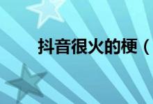 抖音很火的梗（抖音真好是什么梗）