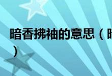 暗香拂袖的意思（暗香迎袖這句話是什么意思）