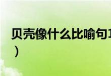 貝殼像什么比喻句100字（貝殼像什么小動物）