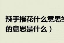 辣手摧花什么意思舉個例子（辣手摧花花滿地的意思是什么）