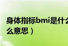 身體指標(biāo)bmi是什么意思（身體指標(biāo)bmi是什么意思）