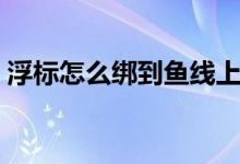 浮標(biāo)怎么綁到魚線上（浮標(biāo)怎么綁到魚線上）