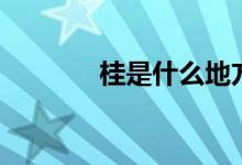 桂是什么地方（桂是哪里車(chē)）