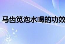 馬齒筧泡水喝的功效（馬齒筧泡水喝的功效）