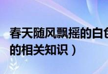 春天隨風飄搖的白色柳絮是柳樹的什么（柳絮的相關(guān)知識）