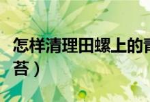怎樣清理田螺上的青苔（怎么清理田螺上的青苔）