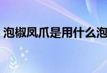 泡椒鳳爪是用什么泡的（泡椒鳳爪是什么梗）