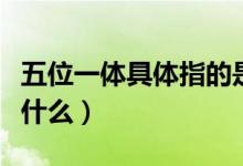 五位一體具體指的是啥（五位一體具體指的是什么）