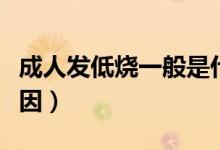 成人發(fā)低燒一般是什么原因（成人發(fā)低燒的原因）