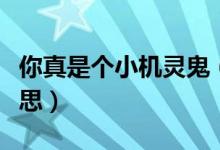 你真是個小機靈鬼（你真是個小機靈鬼什么意思）