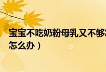 寶寶不吃奶粉母乳又不夠怎么辦（寶寶不吃奶粉母乳又不夠怎么辦）